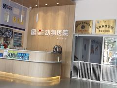 -宠颐生动物医院·猫科·心脏科(海口分院)