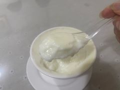 -老周记顺德双皮奶