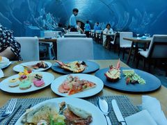 -海棠湾洲际-涛·海底餐厅·美人鱼·自助餐·海底隧道