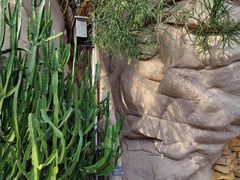 -北京植物园-展览温室