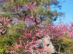 -杭州植物园