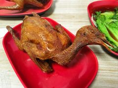 -光明刘冰乳鸽店(光明法政北路店)