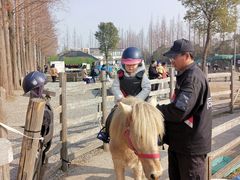 -前小桔亲子创意农场·草莓采摘·露营烧烤