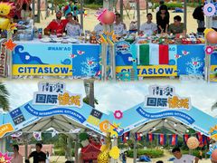 -西涌国际滨海旅游区