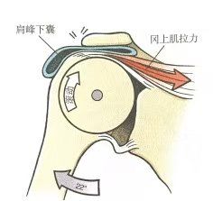 -星动力健身俱乐部(新塘店)