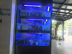 -鱼凫人家