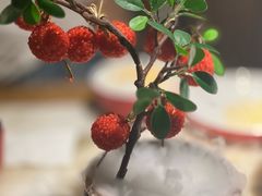 -醉美长安·陕菜(万和城店)