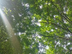 -西安体育学院游泳馆