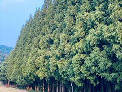 -南京金牛湖风景区