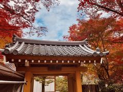 -常寂光寺