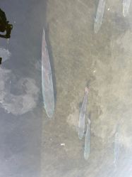 -青龙渔业旅游景区