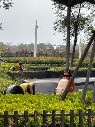 -季高兔窝窝亲子园(上海薰衣草公园店)