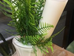 -探窝·竹笙椰子鸡(杨箕店)