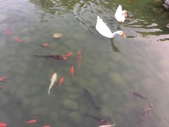 -祝家花園(伯渎港店)