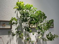 -Kekimatata 生日蛋糕·烘焙教学