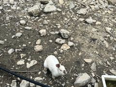 -鹿院坪生态旅游景区