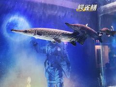 -常州海昌海洋探索馆