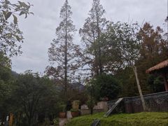 -中铁花水湾温泉酒店(大邑店)