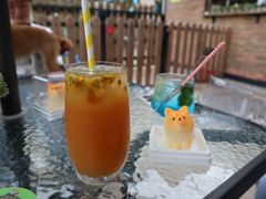 -柴犬高等学院·狗咖·柴犬售卖·宠物训练