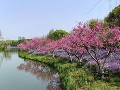 -圩墩遗址公园