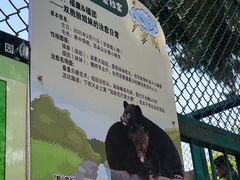 -保定市动物园