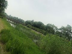 -尚贤河湿地
