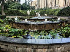 -永泰福朋喜来登酒店-宜客乐自助餐厅(远大路店)