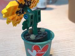 -Tims天好咖啡·贝果(凯德大峡谷购物中心店)