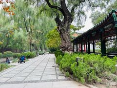-菖蒲河公园