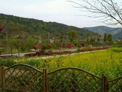 android_upload_pic-石塘人家