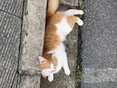 -上海月湖雕塑公园
