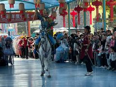 -海合安武汉极地海洋公园