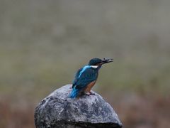 -苏州河梦清园环保主题公园