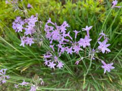 -九里河湿地公园