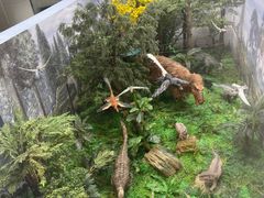 -中国港口博物馆