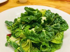 生炝木耳菜-九十九顶毡房(阜石路店)