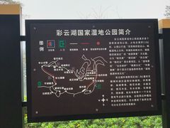 -重庆彩云湖湿地公园