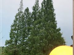 -湾里人家(旺山景区店)