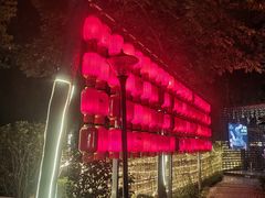 -二荆条·蜀鲜汇城市森林火锅