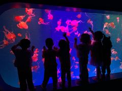 -全优加早教·托育(金沙御苑校区)