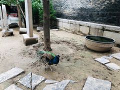-罔极寺