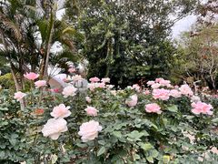 -人民公园(罗湖区)