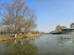 -西安浐灞国家湿地公园