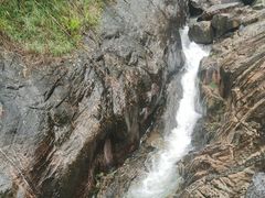 -广州白江湖森林公园