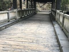 -瑶湖郊野森林公园