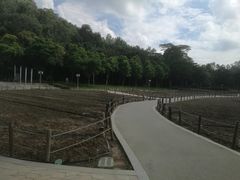 -顺峰山公园