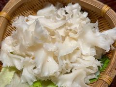 -滇野云南野生菌餐厅(陕西南路店)