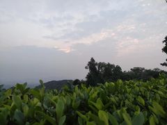 -火炉山森林公园