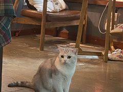 -咖法森林·咖啡  酒吧(天河店)