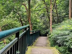 -重庆彩云湖湿地公园